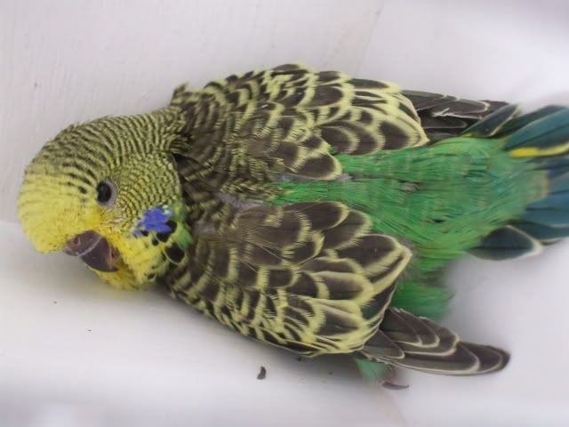 DSCF5893.jpg