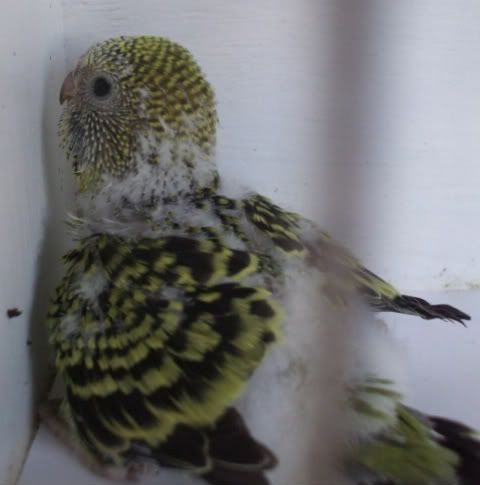 DSCF5899.jpg