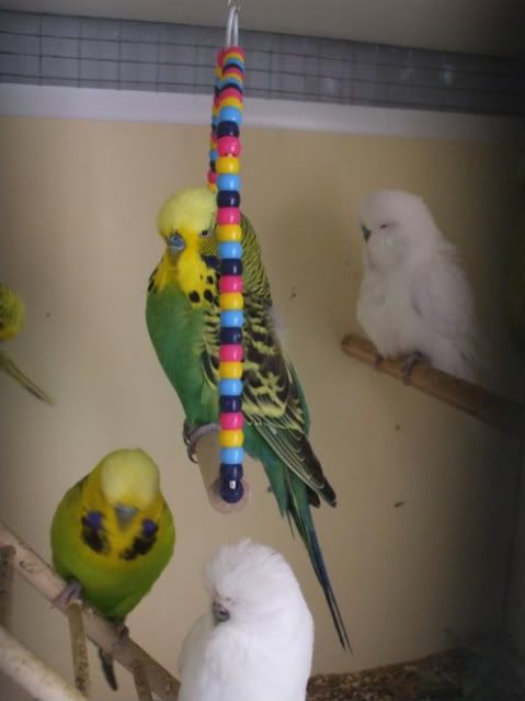 DSCF5908.jpg