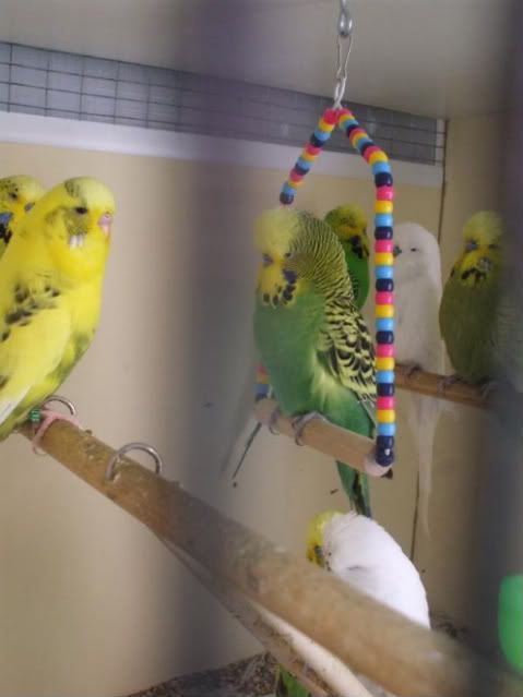 DSCF5909.jpg