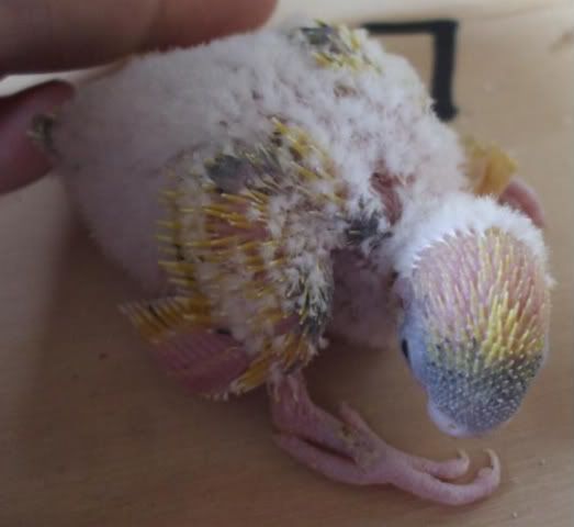 DSCF5922.jpg