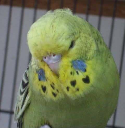 DSCF6020.jpg