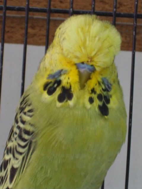DSCF6044.jpg