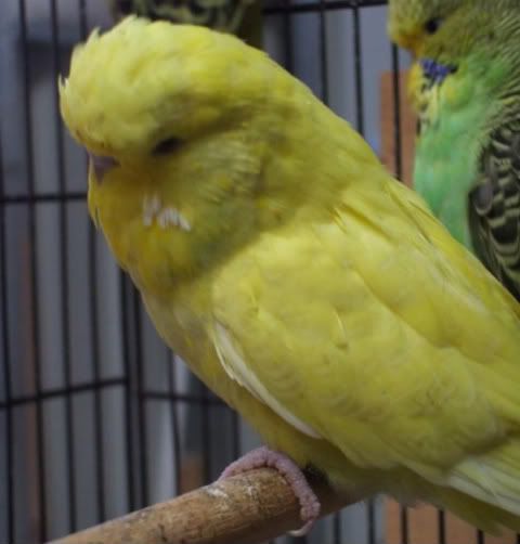 DSCF6058.jpg