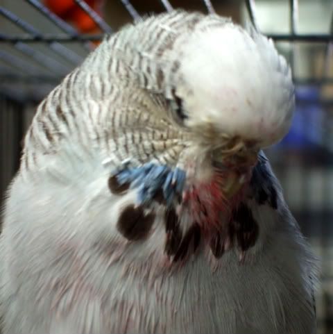DSCF6224.jpg