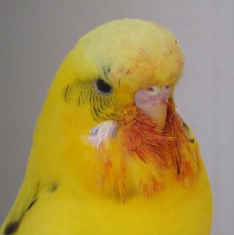 DSCF6230.jpg