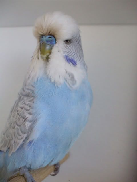 DSCF6292.jpg