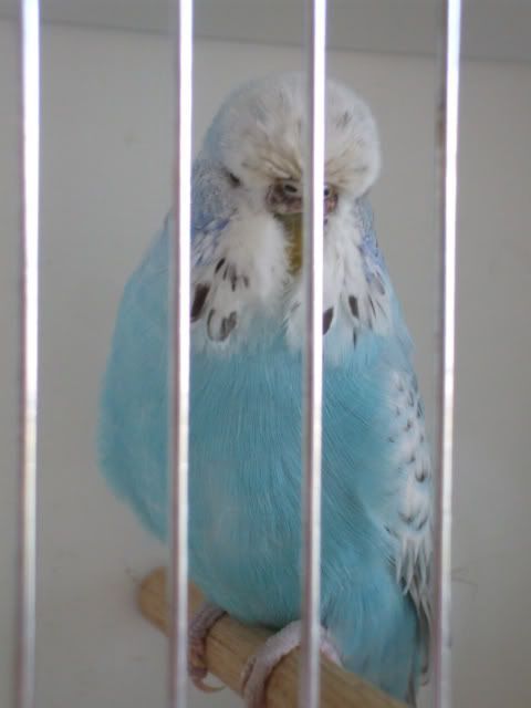 DSCF6311.jpg