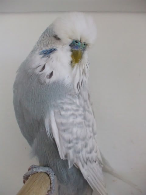 DSCF6317.jpg