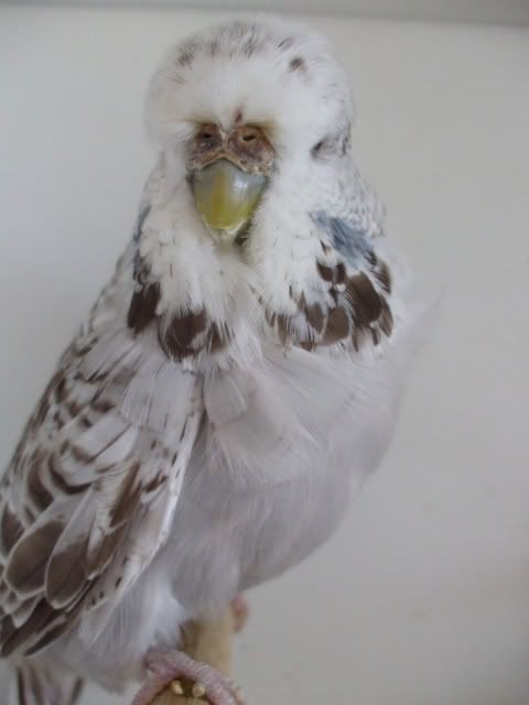 DSCF6320.jpg