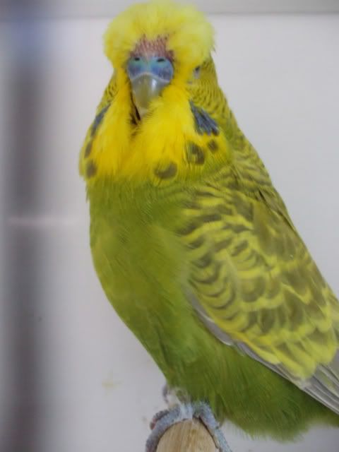 DSCF6340.jpg