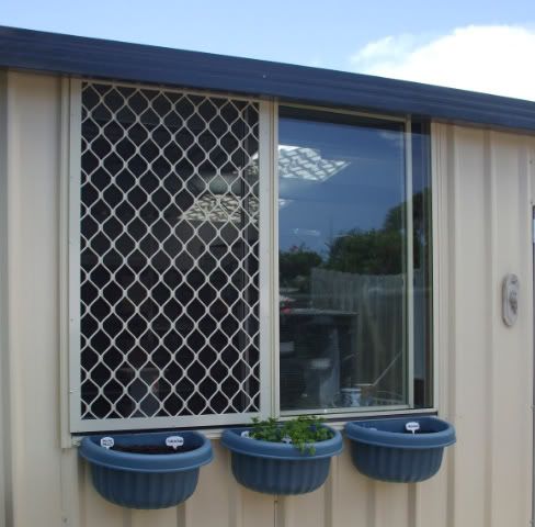 DSCF6420.jpg