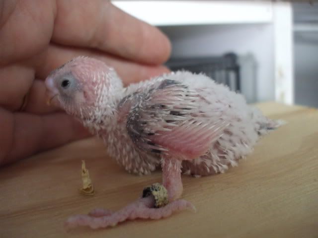 DSCF6492.jpg