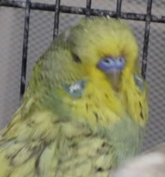 DSCF6554.jpg