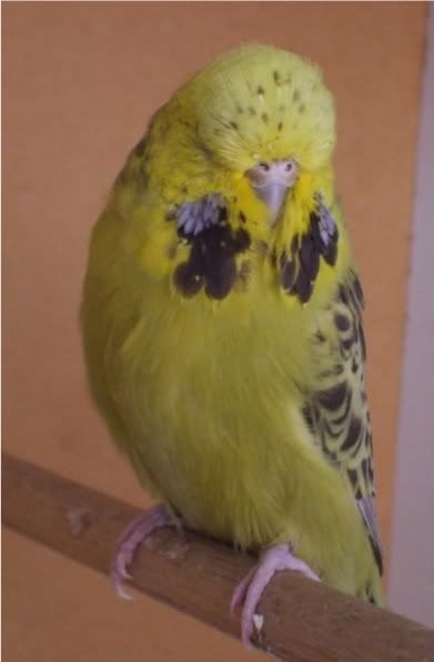 DSCF6644.jpg