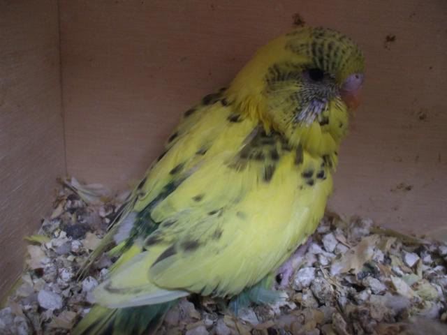 DSCF6659.jpg