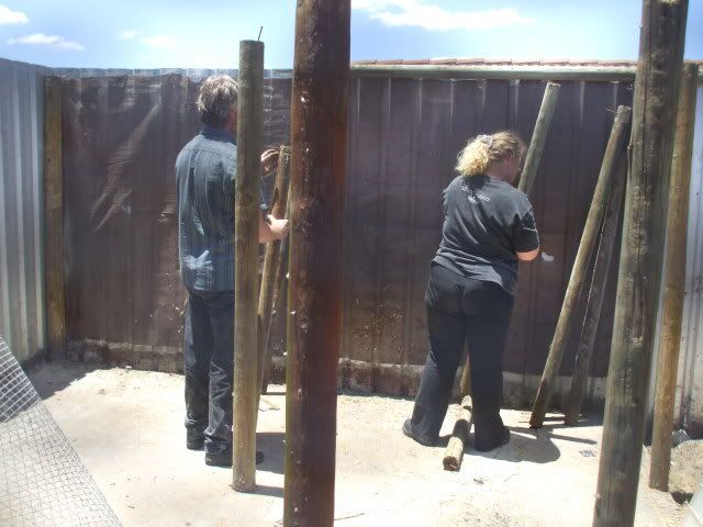 DSCF6777.jpg