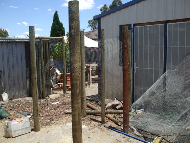 DSCF6783.jpg