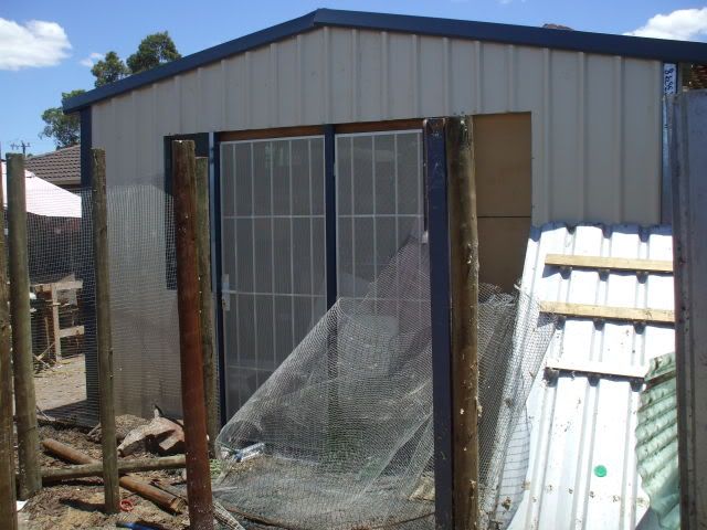 DSCF6784.jpg