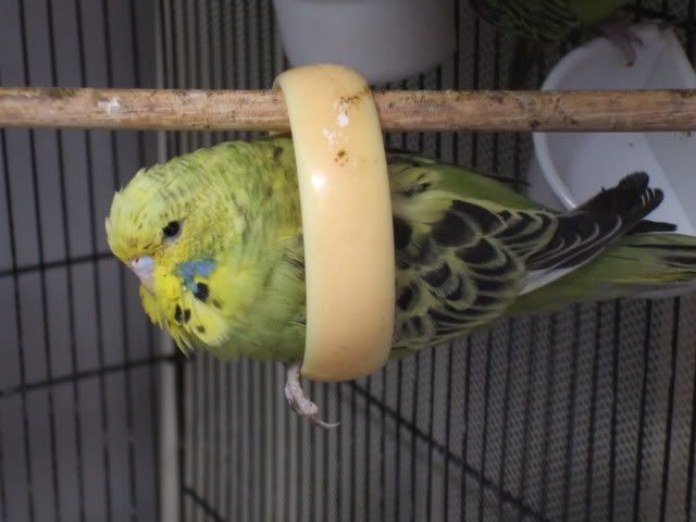 DSCF6795.jpg