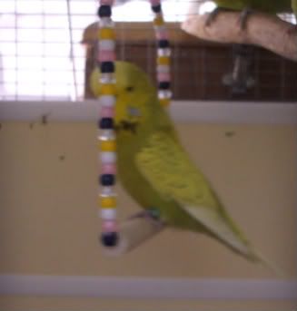 DSCF6818.jpg