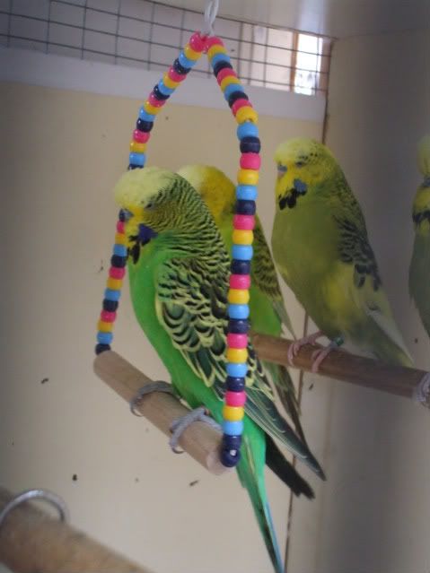 DSCF6821.jpg