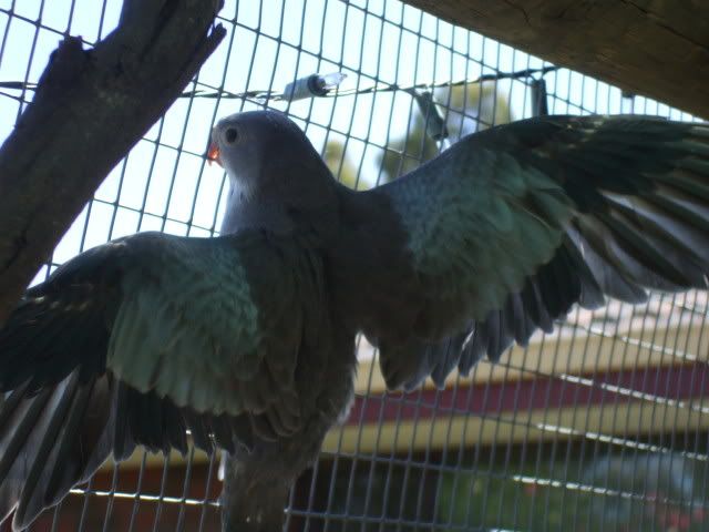 DSCF6863.jpg