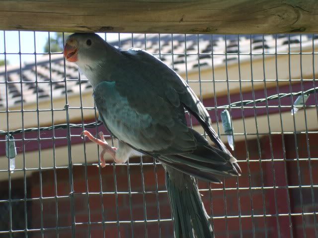 DSCF6868.jpg