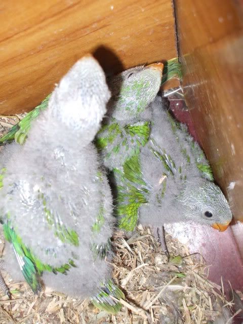 DSCF6876.jpg