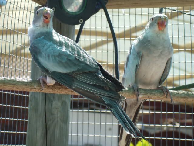 DSCF6881.jpg