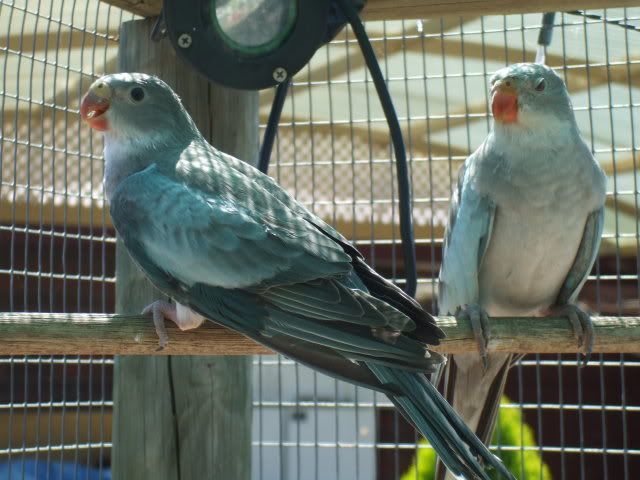 DSCF6882.jpg