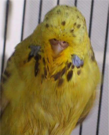 DSCF6961.jpg