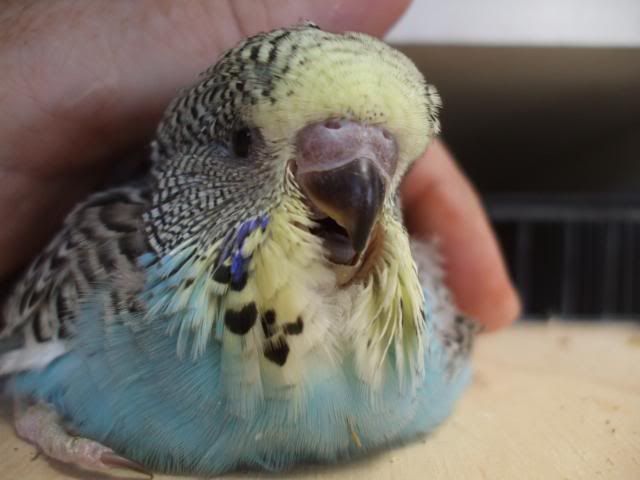 DSCF7056.jpg