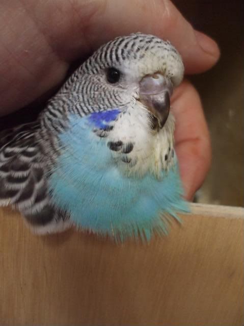 DSCF7083.jpg