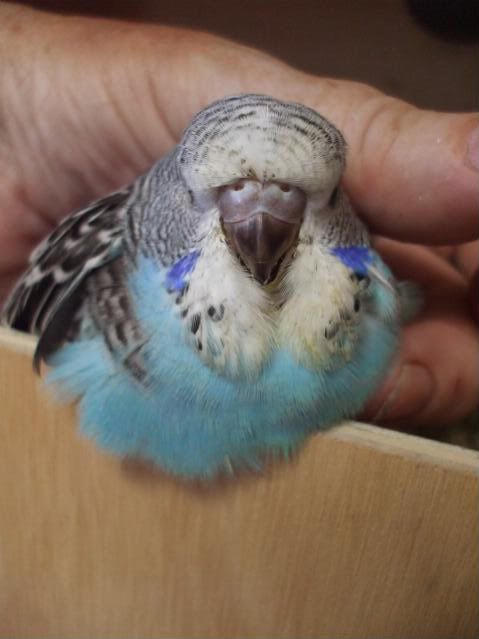 DSCF7086.jpg