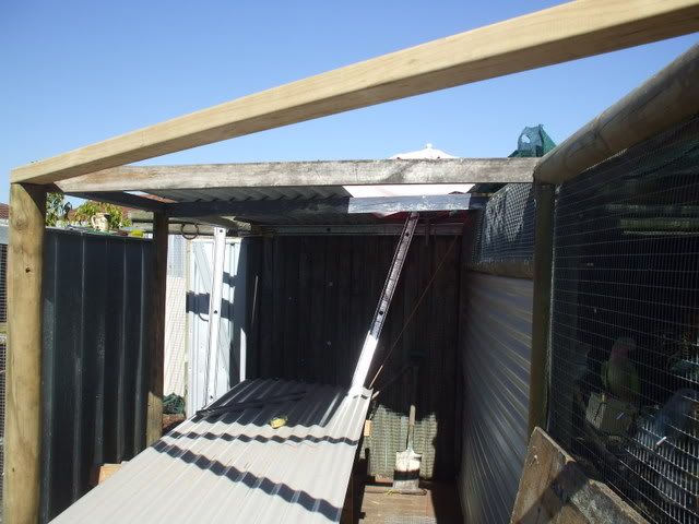 DSCF7090.jpg
