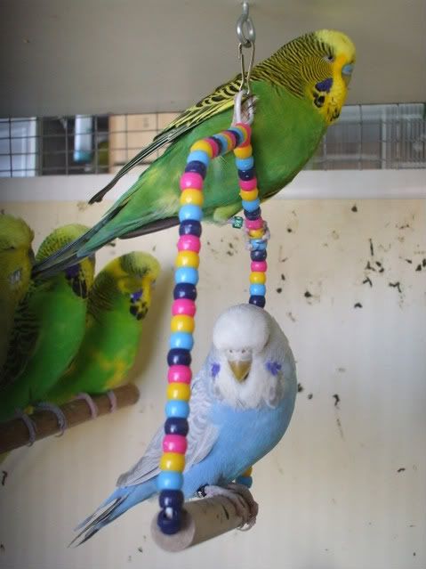 DSCF7097-1.jpg