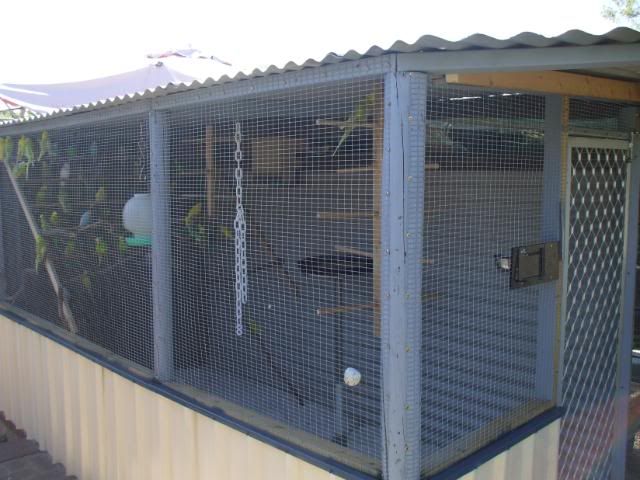 DSCF7181.jpg