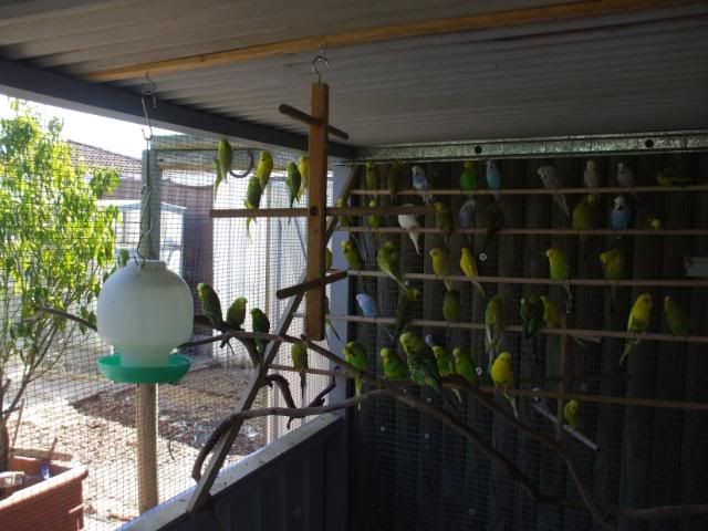 DSCF7187.jpg
