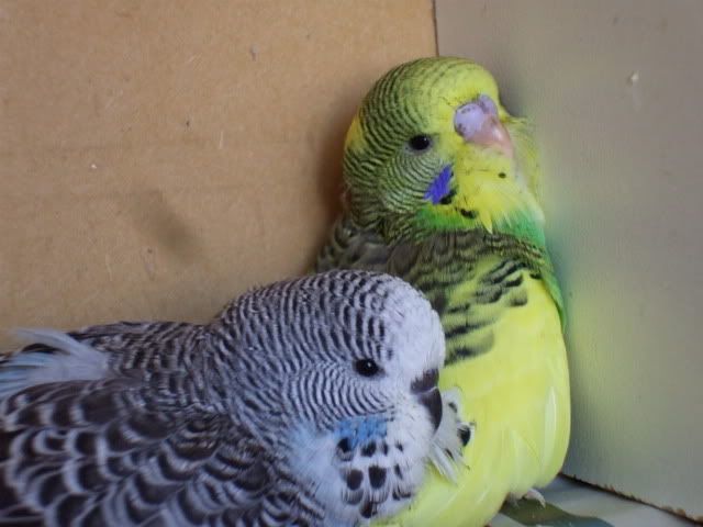 DSCF7940.jpg