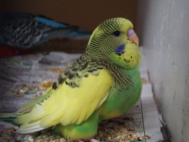 DSCF8142.jpg