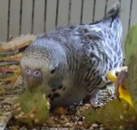 DSCF8180.jpg