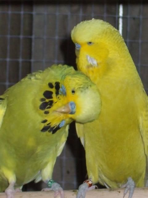 DSCF8273.jpg