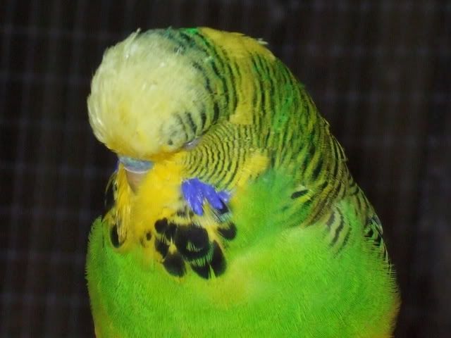 DSCF8276.jpg