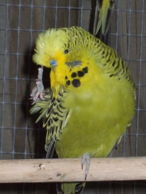 DSCF8280.jpg