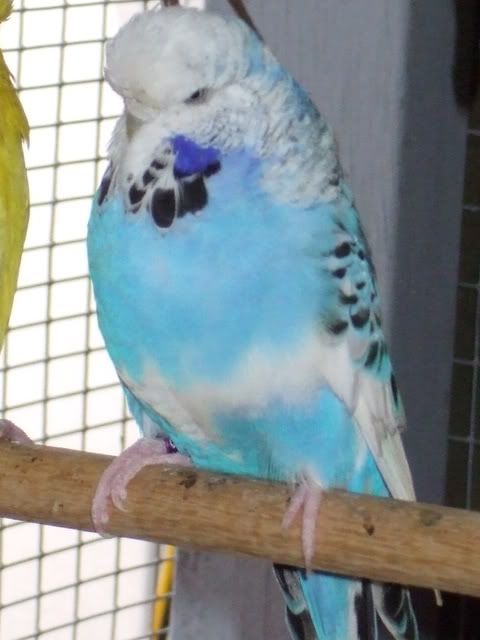 DSCF8286.jpg