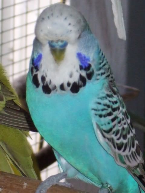 DSCF8287.jpg