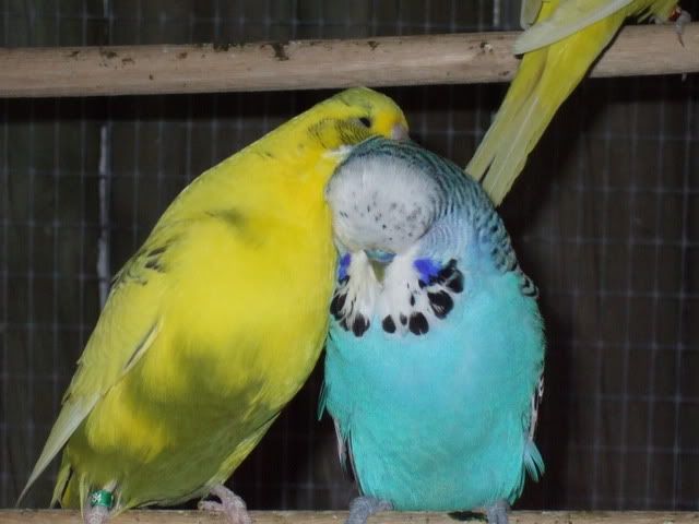 DSCF8305.jpg