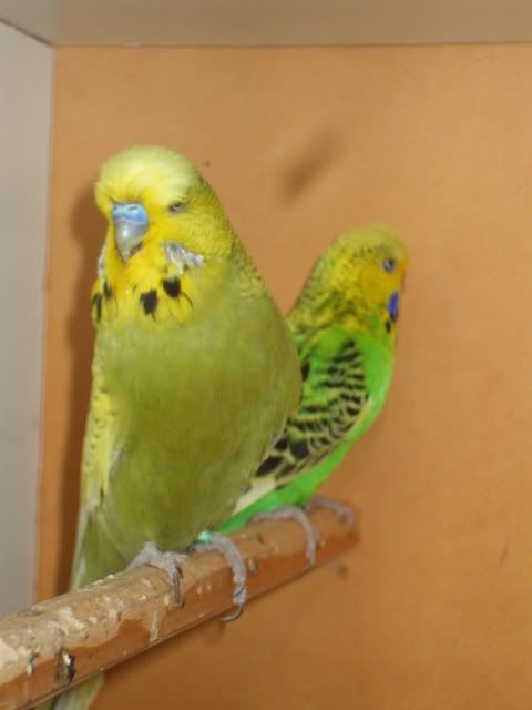 DSCF8549.jpg