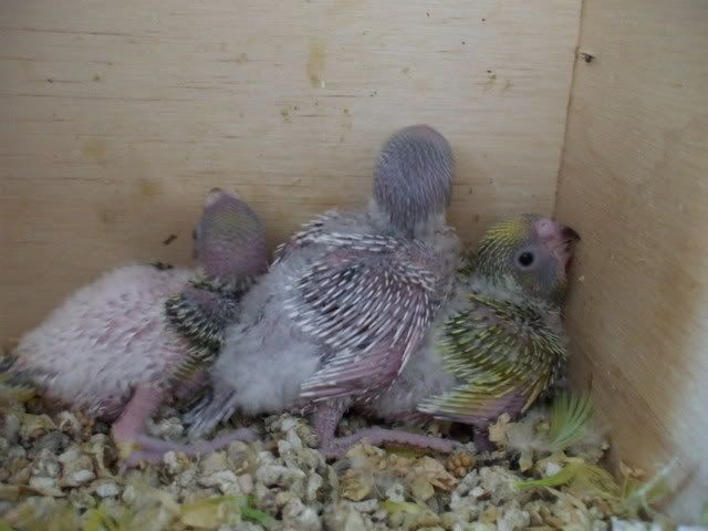 DSCF8563.jpg